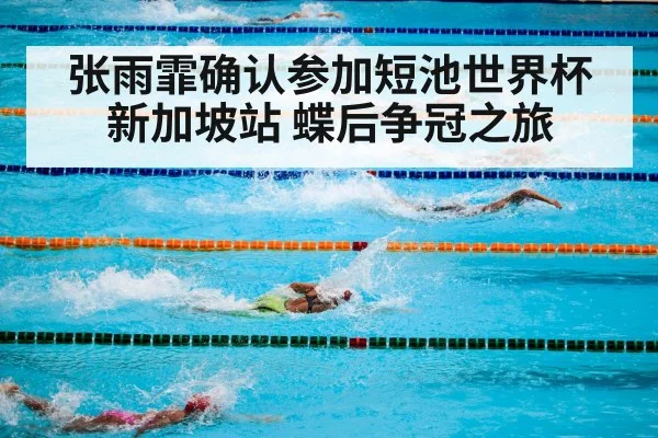 swimming pool competition