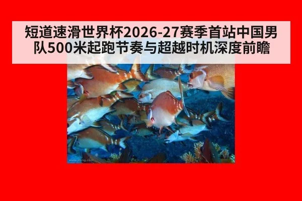 短道速滑世界杯2026-27赛季首站中国男队500米起跑节奏与超越时机深度前瞻