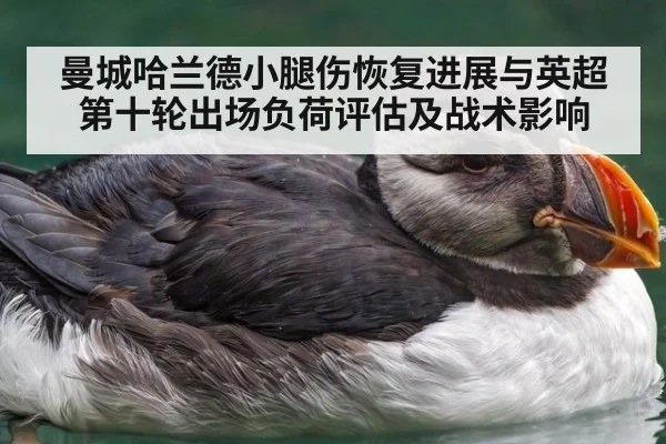 曼城哈兰德小腿伤恢复进展与英超第十轮出场负荷评估及战术影响